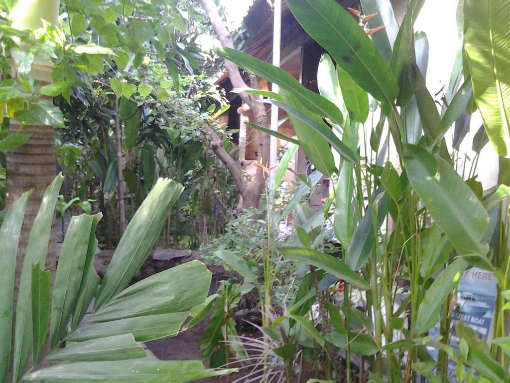Solaluna Beach Homestay Amed Kültér fotó